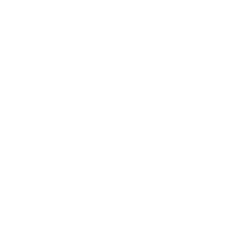 New City Kids